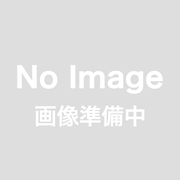 【DULTON】ダストパン アンド ブラシ
